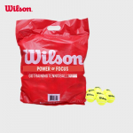 Wilson survevabad treeningtennisepallid