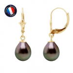 Boucles d'Oreilles - PERLINEA - V&eacute;ritables Perles de Tahiti - 8-9 mm - Or Jaune - Femme