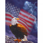 T&auml;isruudukujulised teemantkunstikomplektid Loomade kivid Teemanttikandid Ristpistes Eagle 5D DIY Mosaiic Decor Koduks Full Round 20X30CM punane