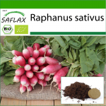 SAFLAX - Mahe - Redis - Prantsuse hommikus&ouml;&ouml;k - 150 seemet - Potisubstraadiga paremaks kasvatamiseks - Raphanus sativus