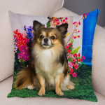 Armas lemmikloomade padjap&uuml;&uuml;r Dekoratiivne armas kutsika chihuahua padjap&uuml;&uuml;r Pehme pl&uuml;&uuml;sist padjap&uuml;&uuml;r autodiivanile koju 45x45cm 45x45cm
