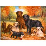 DIY 3D teemantmaaling loomakoerad tikandid ristpistes kodukaunistus Full Round 20x25CM