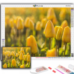 5D DIY Lilled Tulbid Ristpistega kivikivid Teemantjoonistus Tikand Mosaiik Kodukaunistus Full Round 20X30CM