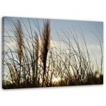 L&otilde;uenditr&uuml;kk Reed Nature Lake 60x40 sinine