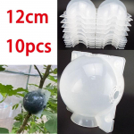 12cm 10tk Viljataim Puu juurtepall juurekast plast&uuml;mbris L&auml;bipaistev Lillede pookimine Juurikas Kasvav K&otilde;rgsurve Aretus