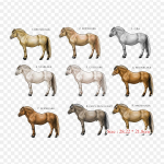 Fjord Horse American Quarter Horse Triikraud soojus&uuml;lekandel tr&uuml;kkimine Vin&uuml;&uuml;lplaastrid Kleebis riietele Ise ise teha aplikatsioonid pestavad plaastrid