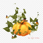 Halloween Citrouille Et Chat Kassiraud soojus&uuml;lekandel tr&uuml;kkimine Vin&uuml;&uuml;lplaastrid Kleebis riietele Ise ise teha aplikatsioonid pestavad plaastrid
