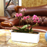 Ristk&uuml;likukujuline isekastuv veetaseme indikaatoriga aed ja kodune kirjutuslaud 15inch White with Water Level Indicator