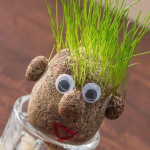T&ecirc;te &agrave; cheveux d'herbe &agrave; faire pousser