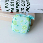 Korpus K&otilde;rvaklappide peakomplekti tarvikud Kaasaskantav hoiukott Airpodide jaoks Juhtmelaadija hoiukott