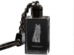 Nebelung - Crystal pendant with cat photo, illuminated pendant, unique gift by Art-Dog brand