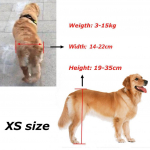 2 suurust lemmiklooma ratastool alumiiniumist jalutusk&auml;ru Roller puuetega tagajalgade reguleeritav puudega p&otilde;rutusvastane k&otilde;nnit&ouml;&ouml;riist XS