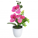 Kunstlik orhidee&otilde;is Faux orhidee V&otilde;lts Phalaenopsis Bonsai V&auml;listingimustes Siseruumides Potis kontorisse, koju, pulmapeole, siseruumide dekoratsioon