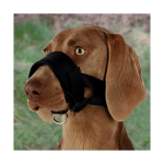 Trixie koerale omane kaitsekork L suurus