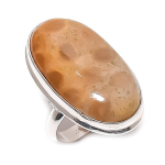 Natural Fossil Coral Gemstone 925 Sterling Silver Jewelry Ring Size 7 a0a40
