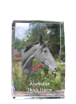 Australian Stock Horse - crystal with a picture of a horse, photo in glass, modern exhibition of Art-Dog brand photo
