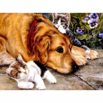 Koerte ja kasside meisterdamise kristall t&auml;is 5D plastist teemantmaali ristpistes komplekt kunsti mosaiik, ruudukujuline rhinestone 20X30CM