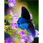 Teemantmaali liblikas ristpistes t&auml;is&uuml;mmargused kivide teemanttikandid dekoorkleebis 20X30CM