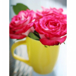 5D teemantmaal Lilletass Roos Pilt rhinestones Teemantmaalimisest 20X30CM