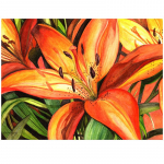 5D DIY Teemantmaali Liilia Lille Ristpiste komplekt T&auml;ispuurimise &uuml;mmargune tikandid Mosaiik Pilt kividest kodukaunistuste allahindlus Full Round 20x30CM