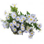 Kunstlilled, mitte pleekivad ja h&otilde;lpsasti hooldatavad Immortal Fancy Hooldusvabad kimpude fotograafia rekvisiidid valge