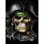 5D DIY Teemantmaal Piraat Kolju Teemanttikandid T&auml;ismosaiigikomplektid Ristpistes Kodukaunistus K&auml;sitsi valmistatud kingitused Round 20x30cm