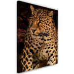 Feeby l&otilde;uendiprint, Leopardi foto mustal taustal 40x60 pruun