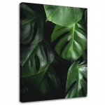 L&otilde;uendiprint Lilled Monstera Lehed Taimed 40x60 roheline