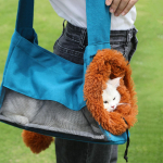 L&otilde;uend v&auml;ike lemmiklooma kandekott reisitranspordi kaasaskantav kassipoja &otilde;lg Grey S