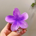 Juukseaksessuaarid suured muna&otilde;itega haaratsid, emashai klambrid, rannapuhkuse v&auml;rvilised juukseklambrid