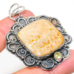 Natural Fossil Coral, Citrine Gemstone 925 Sterling Silver Pendant 2.48 w5l20