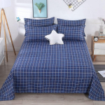 Mugavad voodilinad, kaheinimesevoodi, &uuml;heinimesevoodi, k&otilde;ik aastaajad, mitmek&uuml;lgne 250*230cm