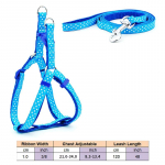 Koera rakmed Kassi nailonrihm Vesti kaelarihma jalutusrihma komplekt P&otilde;genemiskindel kutsikas Lemmikloom &otilde;ues jalutamiseks Reguleeritav kassipoeg Vastupidav veoj&otilde;ud