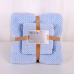 2tk/komplekt Coral Velvet Towel Auspicious Grid Pehme imav t&auml;iskasvanute rannar&auml;tiku kate Paksendatud Coral Velvet vannir&auml;tik Kodutekstiil Kodu sinine