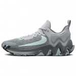 Nike Giannis Immortality 2 Cool Grey Glacier Blue Meeste Tennised Wolf-Grey White DM0825-004 42.5