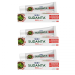Sri Sri Tattva Sudanta Punane Ayurveda Hambahari 200g X 3 tk pakis | Taimne Suuh&uuml;gieen V&auml;rske H&otilde;ngu ja Tugevate Iemete Eest
