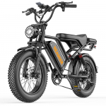 HEADEER BK20 48V20AH Aku 750W Mootor Elektrijalgratas 150KG Kandev&otilde;ime 80KM S&otilde;iduulatus 20 Tolli Paksud Rehvid Maastiku E-M&auml;giratas