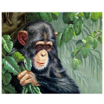 Teemanttikandid 5D DIY Teemantmaal Ristpistes Must Gorilla Pilt kividest 20X30CM