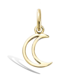 Les Tr&eacute;sors De Lily [Q7606] - Pendentif Plaqu&eacute; Or 'Luna' dor&eacute; - 10x9 mm kuld