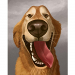 5D DIY teemantmaal  &otilde;nnelik koer  tikandid t&auml;isringiga / ruudukujuline teemantristpistega teemantmosaiikmaal, kaunistuskingitus Full Square (20X30CM)