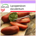SAFLAX &ndash; Tomat &ndash; San Marzano &ndash; 10 seemet &ndash; Lycopersicon esculentum