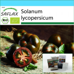 SAFLAX - Kinkekomplekt - Orgaaniline - Tomat - Must kirss - 10 seemet - Koos kinkekarbi, kaardi, etiketi ja potisubstraadiga - Solanum lycopersicum
