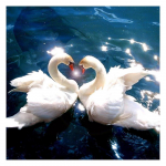 DIY 3D teemantmaal, kaks luike, tikandid ristpistes k&auml;sit&ouml;&ouml;na kodukaunistus Full Round 20x20CM