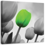 Feeby l&otilde;uenditr&uuml;kk, roheline tulp 30x30 roheline