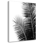 L&otilde;uendiprint Palm Leaf Must Valge 40x60 valge/must