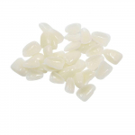 Tervis meditsiiniline valgendamine &uuml;li&otilde;hukesed hambakiled Vaiguhambad Portselanhambad &Uuml;lemised eesmised