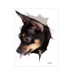 Seinakleebised Isekleepuvad PVC-kleebised Vin&uuml;&uuml;l-kunstikaunistus Eemaldatav WC-poti kaane kleebised Vannitoa keraamika D