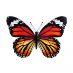 Seinakleebised 3D kolmem&otilde;&otilde;tmelise efektiga PVC suure suurusega lillelised liblikakleebised