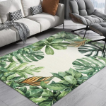 Nordic Carpets Hallid suured vaibad Moodne magamistoa sisekujundus Lihtne p&otilde;randamatt Saali vaip elutuppa 80&times;120cm