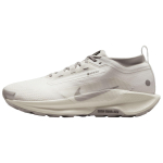 Nike Pegasus Trail 5 GORE-TEX Summit White Light Bone Meeste tossid College-Grey HQ7494-100 43 white